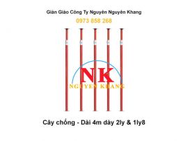 Cây chống